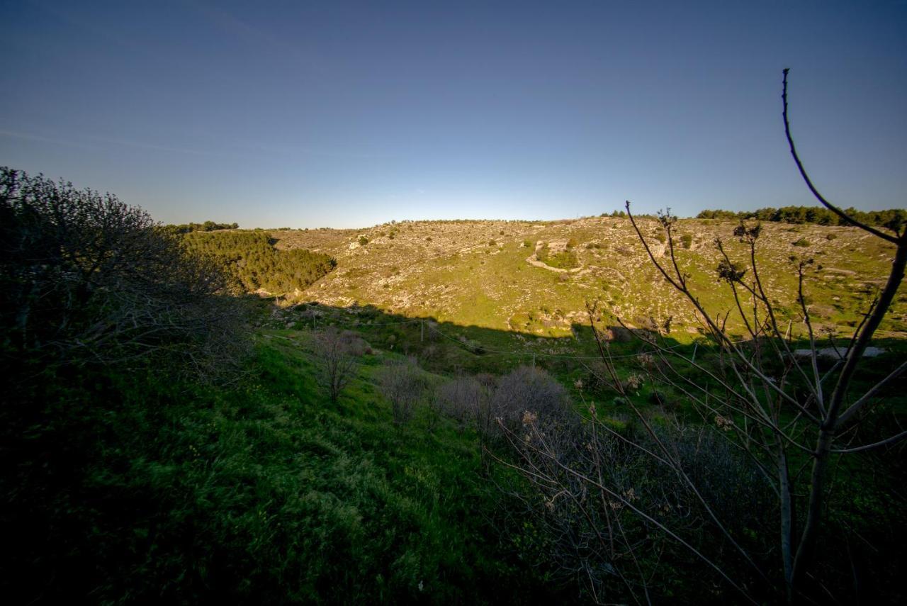 Apartamento La Ferula Magica - Alloggio Tipico Minervino Murge Exterior foto