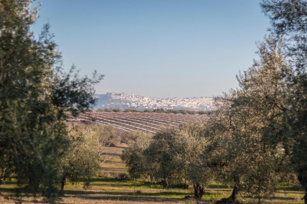 Apartamento La Ferula Magica - Alloggio Tipico Minervino Murge Exterior foto